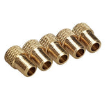 Bike Tire Valve 